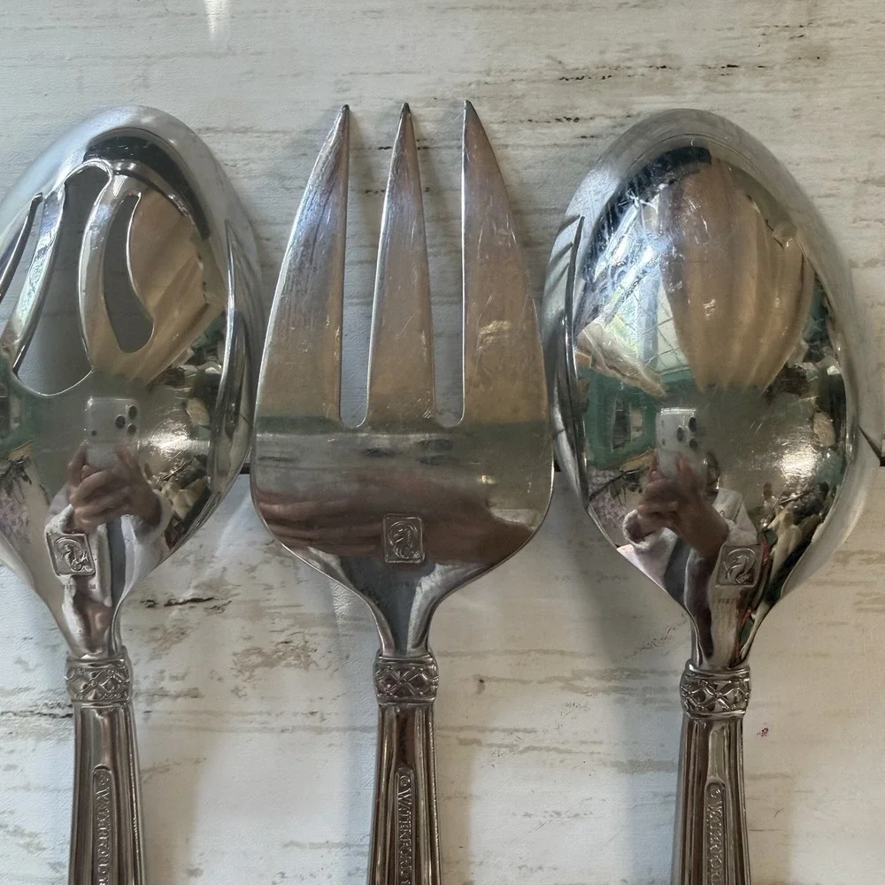 WATERFORD Stainless Padova 3-Piece HOSTESS SERVING SET Spoons‎ Fork Discontinued